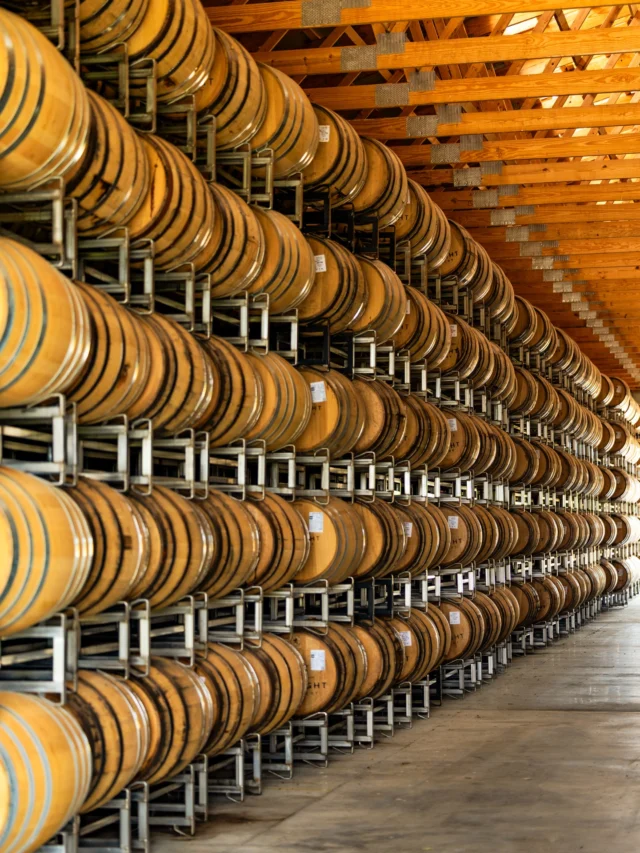 The heat is rolling in this weekend here in Southern Indiana…so the barrels will be working overtime 🥃

As temperatures rise, the whiskey expands deeper into the oak, pulling out rich flavor and character from every barrel. Then as the temperatures cool, it settles back out. A natural cycle that helps shape the bold profile of our bourbon over time.

Great whiskey can’t be rushed 🥃

#starlightdistillery #bourbon #whiskey #whiskeybarrel #indiana